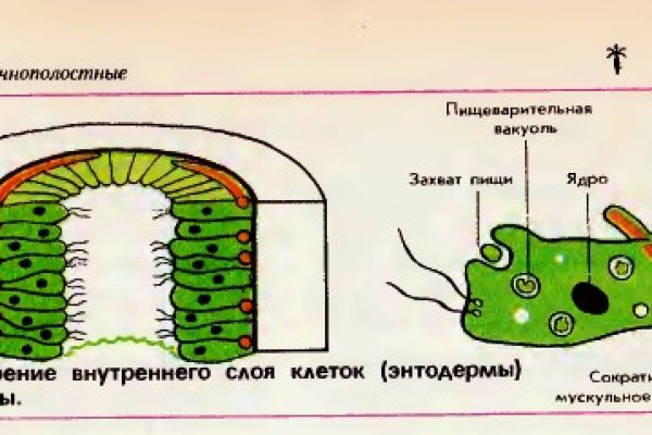 Официальный телеграмм blacksprut